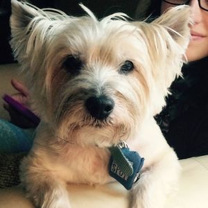 Meet your Posher, Mark